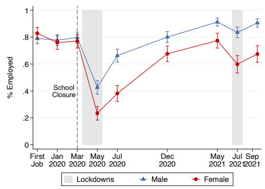 The drop in employment due to COVID-19 closures is larger and more persistent for females